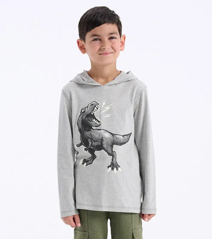 Boys Dino Long Sleeve Hoodie Tee Hatley