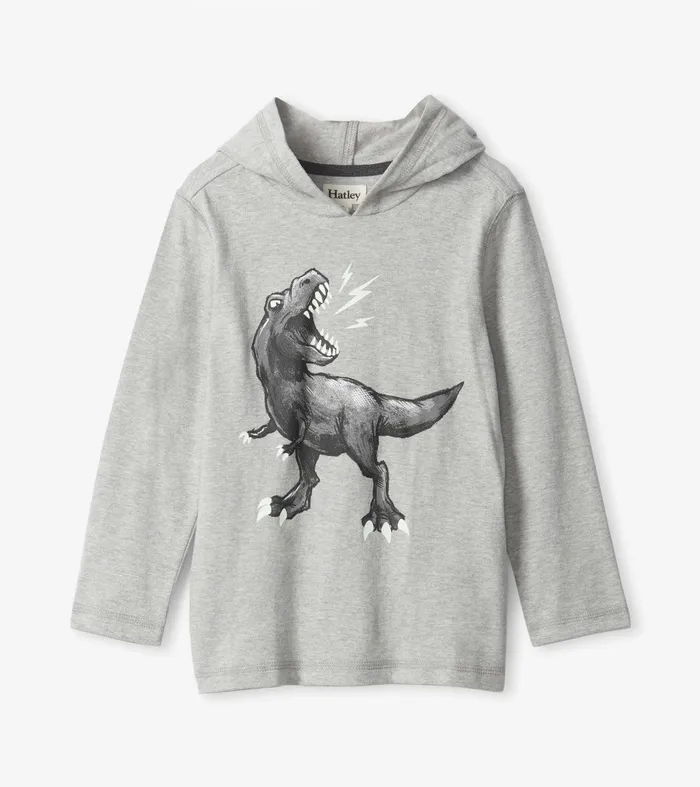 Boys Dino Long Sleeve Hoodie Tee Hatley