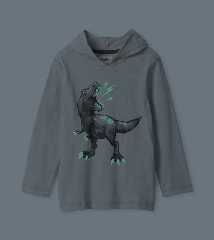 Boys Dino Long Sleeve Hoodie Tee Hatley