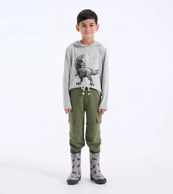 Boys Dino Long Sleeve Hoodie Tee Hatley