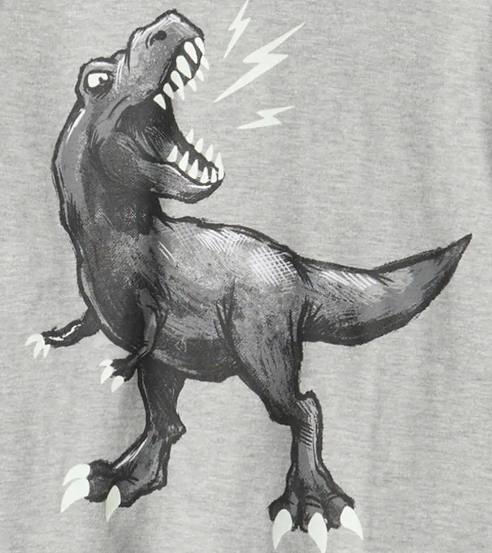 Boys Dino Long Sleeve Hoodie Tee Hatley