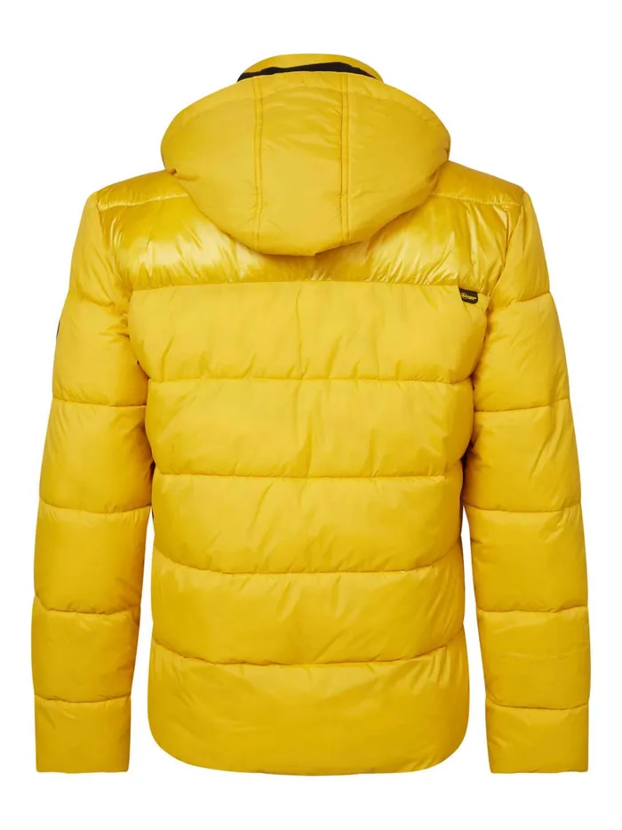 Men Jackets Petrol Industries Padded Jacket Antique Yellow