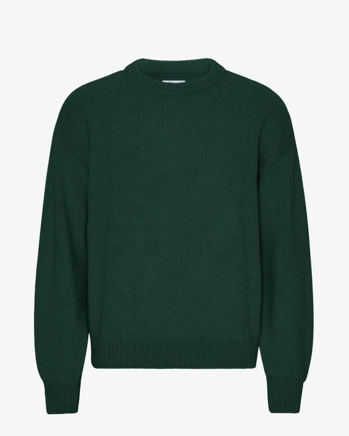 Men Knit Sweaters Colorful Standard Oversized Merino Wool Crew Emerald Green