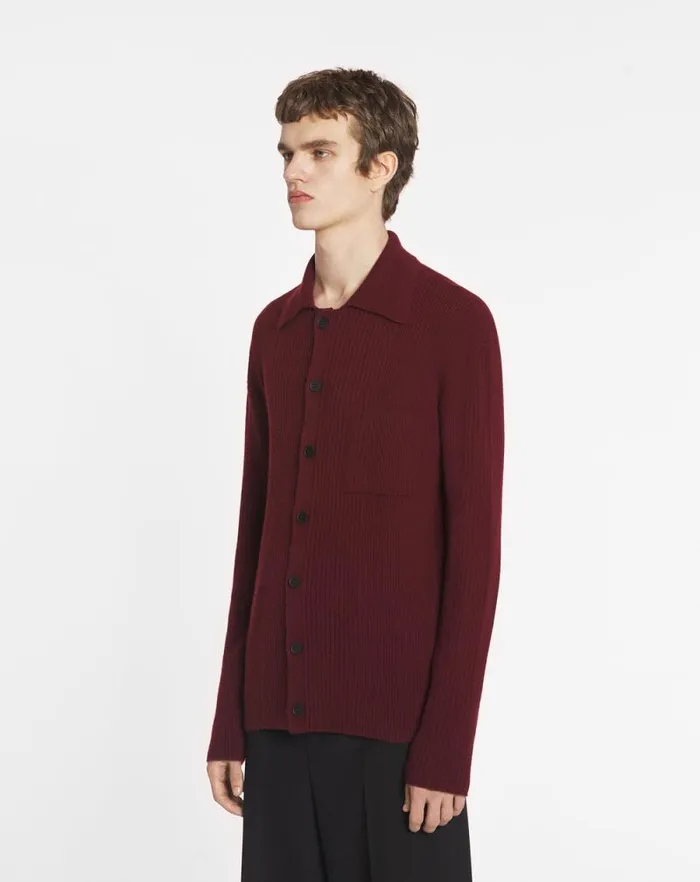 Men Lanvin Knitwear and Sweatshirts Poloneck Ribbed Cardigan Burgundy