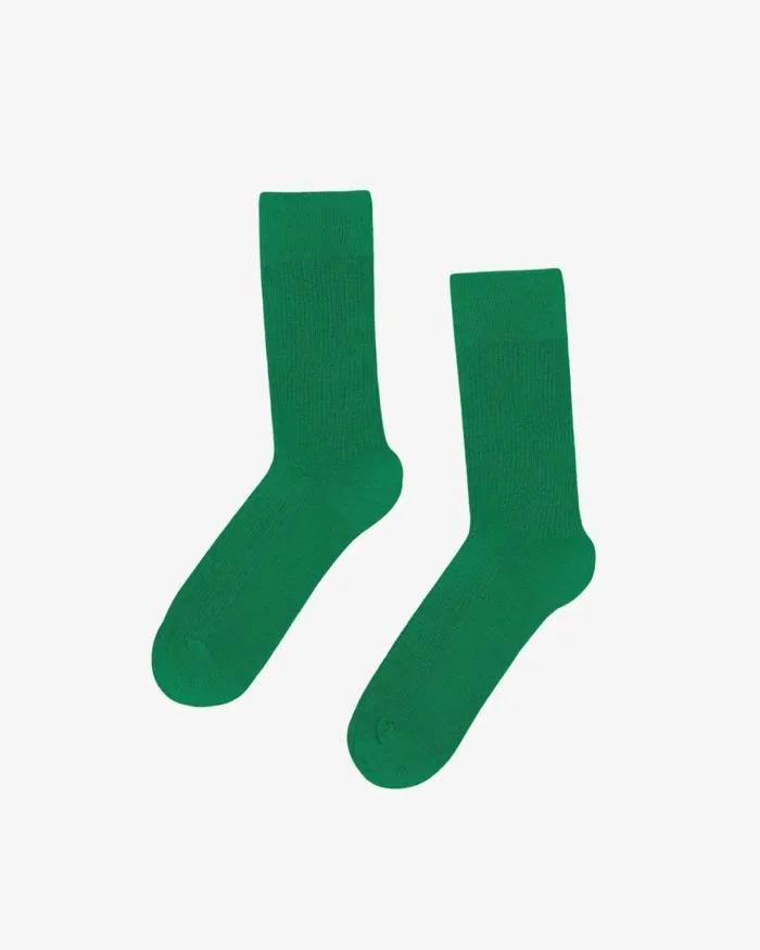 Men Socks and Colorful Standard Classic Organic Sock Kelly Green