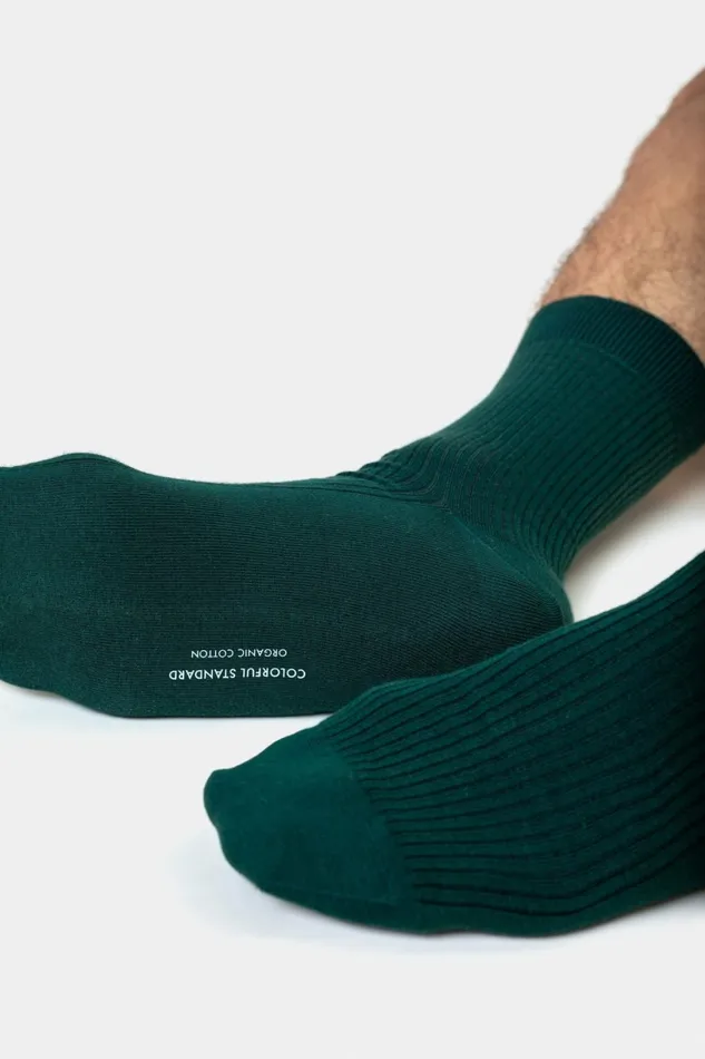 Men Socks and Colorful Standard Classic Organic Sock Kelly Green