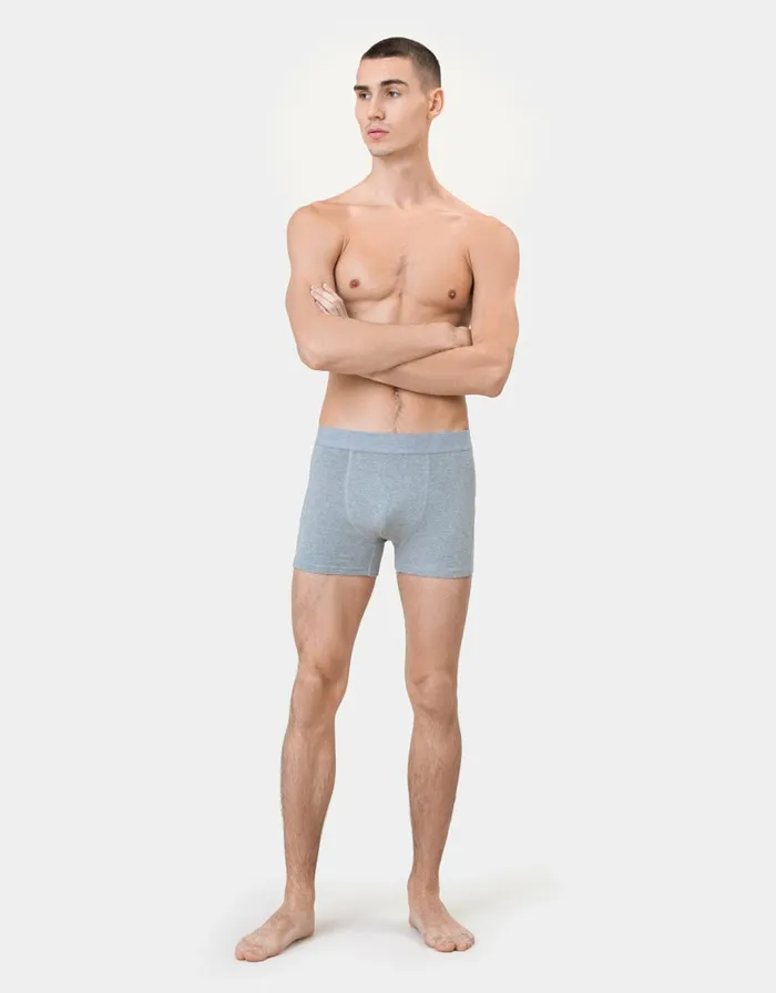 Men Underwear Colorful Standard Classic Organic Boxer Briefs Heather Grey