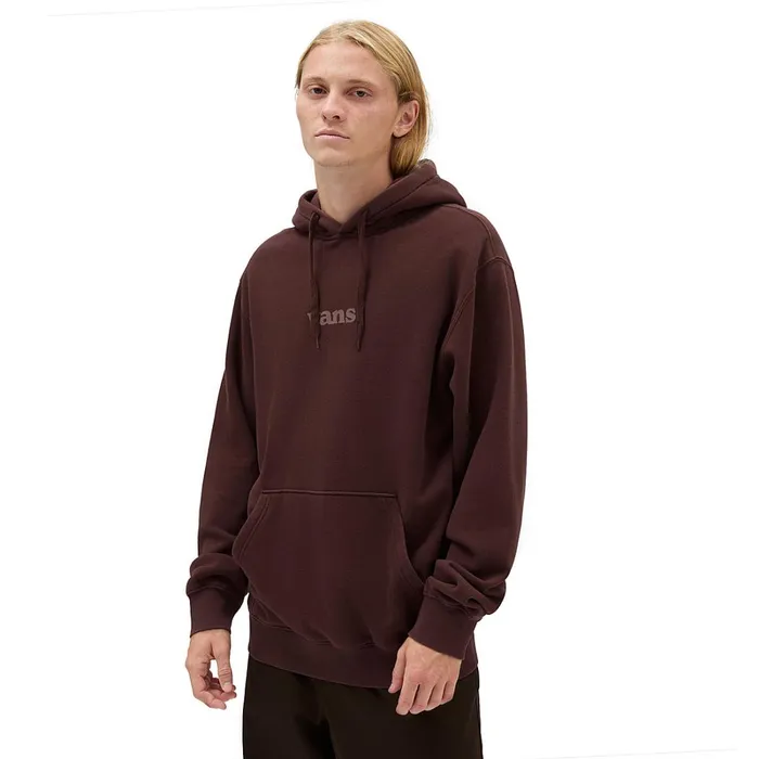 Vans Hoodies and Sweatshirts Men Lowered Wash Pullover Hoodie Brown