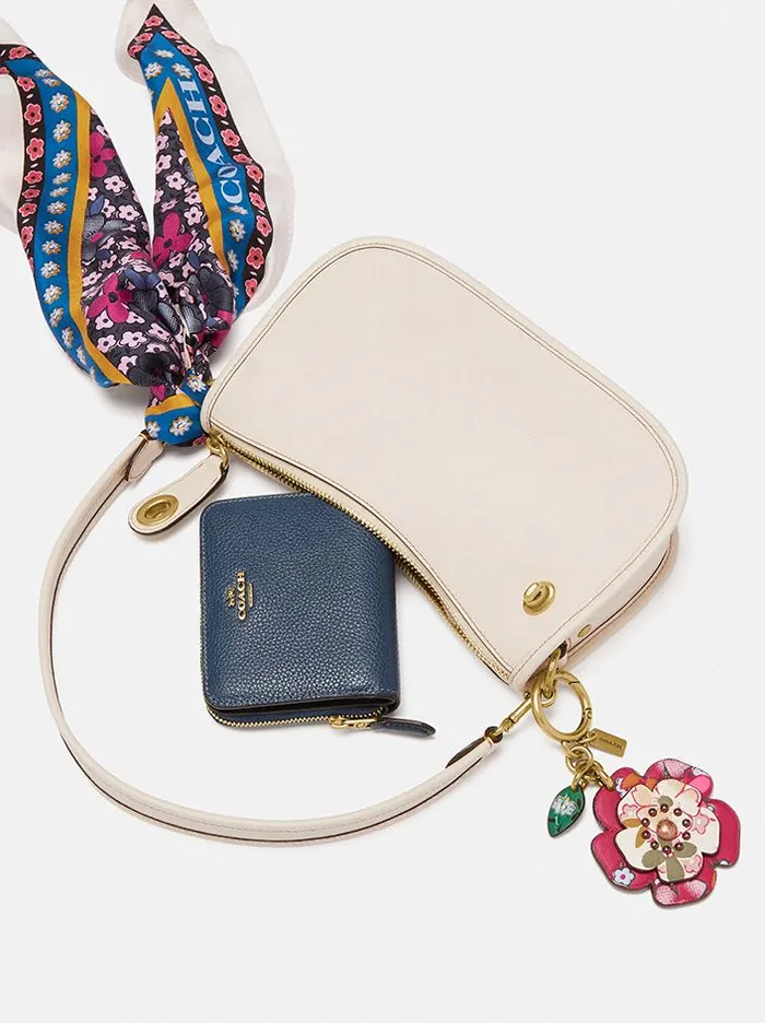 Women Crossbody Bags Coach Swinger Bag Brasschalk