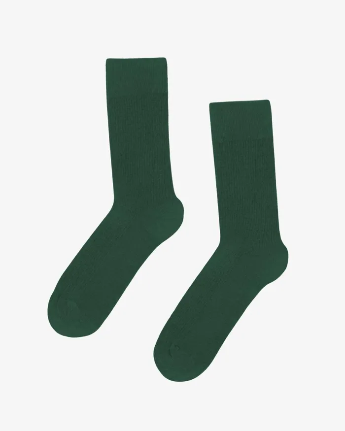 Women Socks Colorful Standard Women Classic Organic Sock Emerald Green