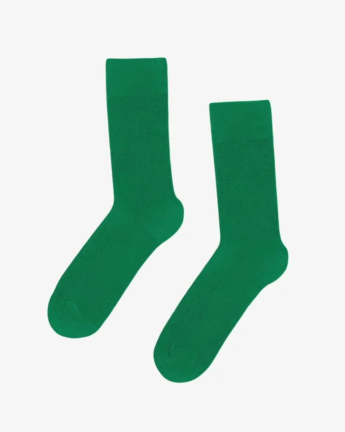 Women Socks Colorful Standard Women Classic Organic Sock Kelly Green