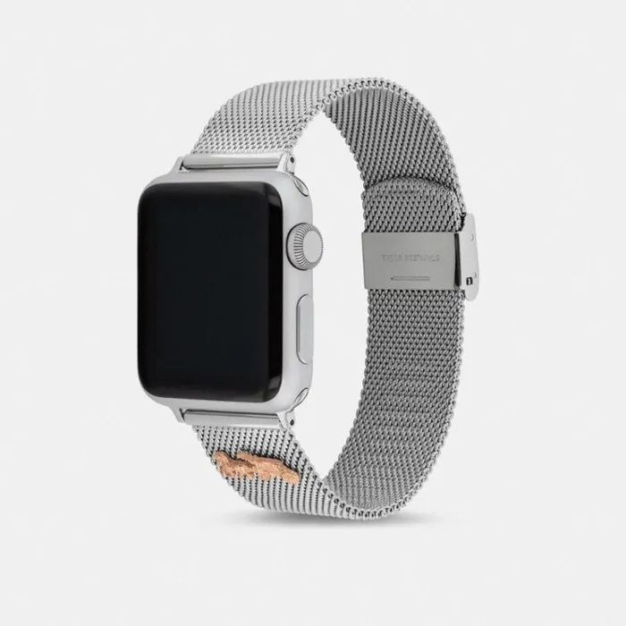 Women Watches Coach Apple Watch Strap 38 Mm And 40 Mm Stainless Steel